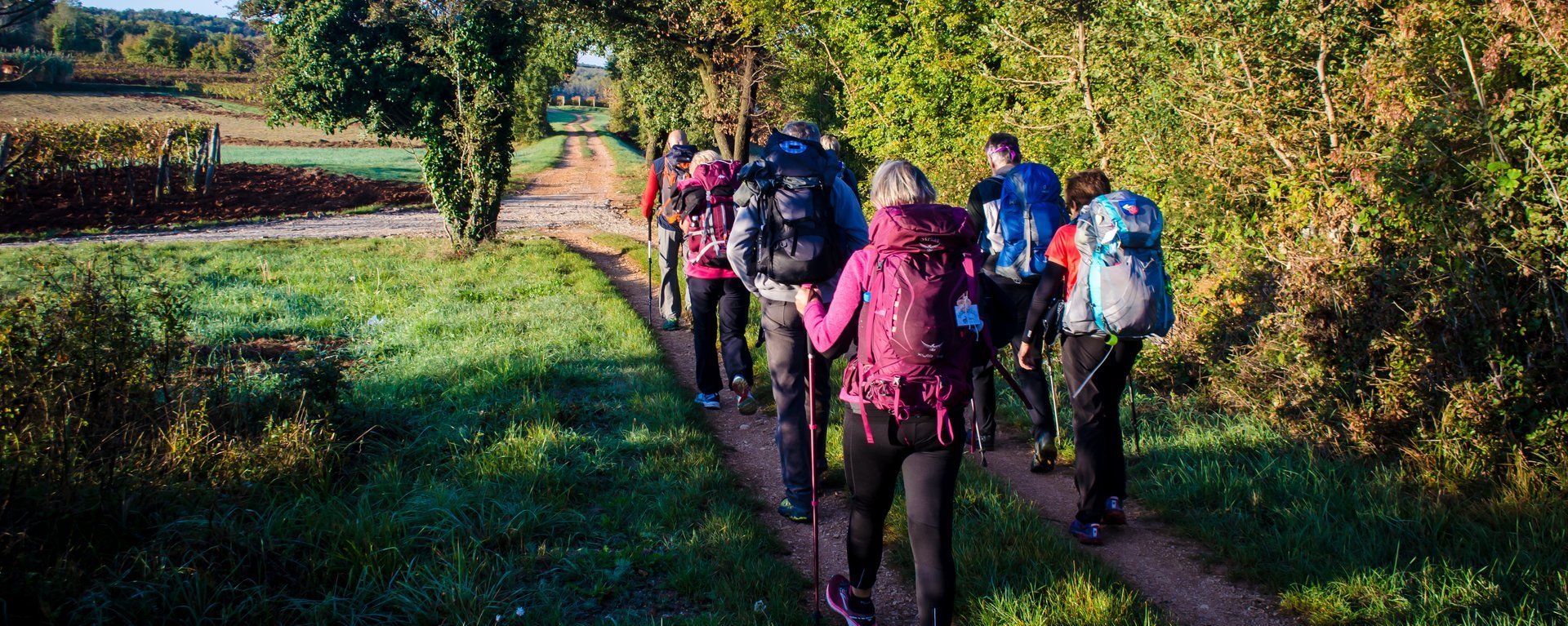 Frauen und Männer im Trekking-Outfit samt Rucksack und Stöcken beim Wandern auf einem Feldweg