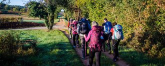 Frauen und Männer im Trekking-Outfit samt Rucksack und Stöcken beim Wandern auf einem Feldweg