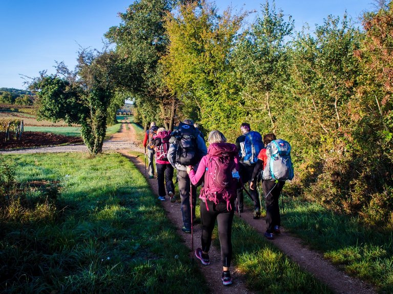 Frauen und Männer im Trekking-Outfit samt Rucksack und Stöcken beim Wandern auf einem Feldweg